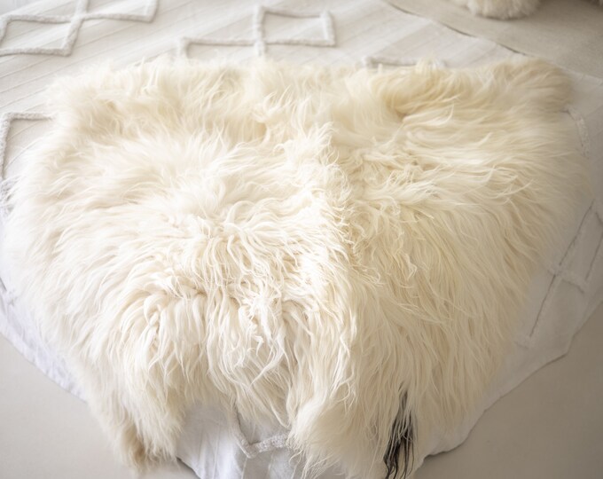 Double Creamy White Brown Icelandic Sheepskin Rug | Long rug | Shaggy Rug | Chair Cover | Runner Rug | Icelandic Rug  | Sheepskin 6POL41