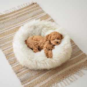 Cama para animais de estimação em pele de ovelha Merino, toca para gatos, cama para cães, casinha para gatos, móveis para animais de estimação feitos à mão - Pele de ovelha genuína - Branco cremoso imagem 4