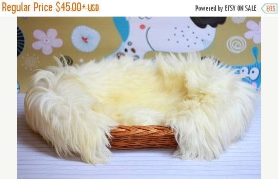 ON SALE Wicker Cat Dog bed , Cat Dog cave , pet bed , Cat Dog house ,pet furniture hand-felted with Genuine Real Sheepskin inside 20% SALE