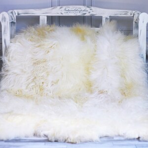 Exclusive Genuine Natural rare Icelandic Sheepskin Rug, Pelt, soft long fur Sexto
