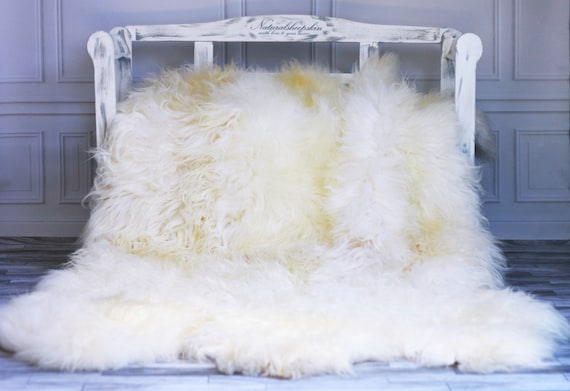 ON SALE Exclusive Genuine Natural rare Icelandic Sheepskin Rug, Pelt, soft long fur Sexto
