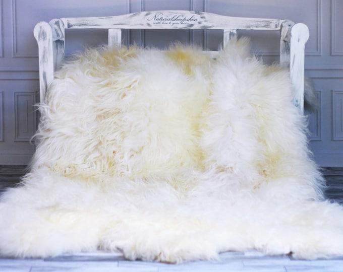Exclusive Genuine Natural rare Icelandic Sheepskin Rug, Pelt, soft long fur Sexto
