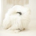 see more listings in the Icelandic Sheepskins section