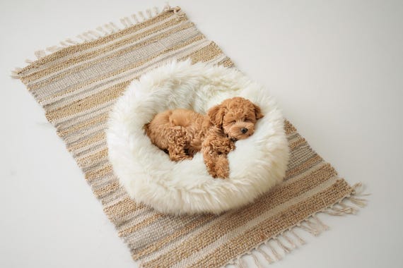 Merino Sheepskin Pet bed , Cat cave , Dog bed , Cat house ,Pet furniture hand made -  Genuine Real Sheepskin - Creamy White