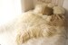 Real Icelandic Sheepskin Rug