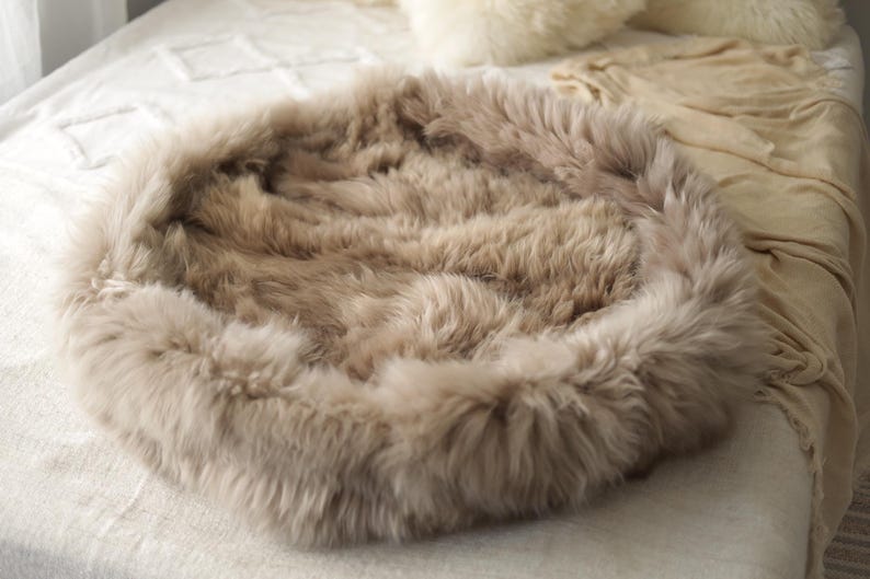 May include: A circular pet bed in a neutral beige hue. The bed features a thick, fluffy texture, with a raised edge and a soft, inviting appearance. Designed for comfort and relaxation, it's ideal for small pets.