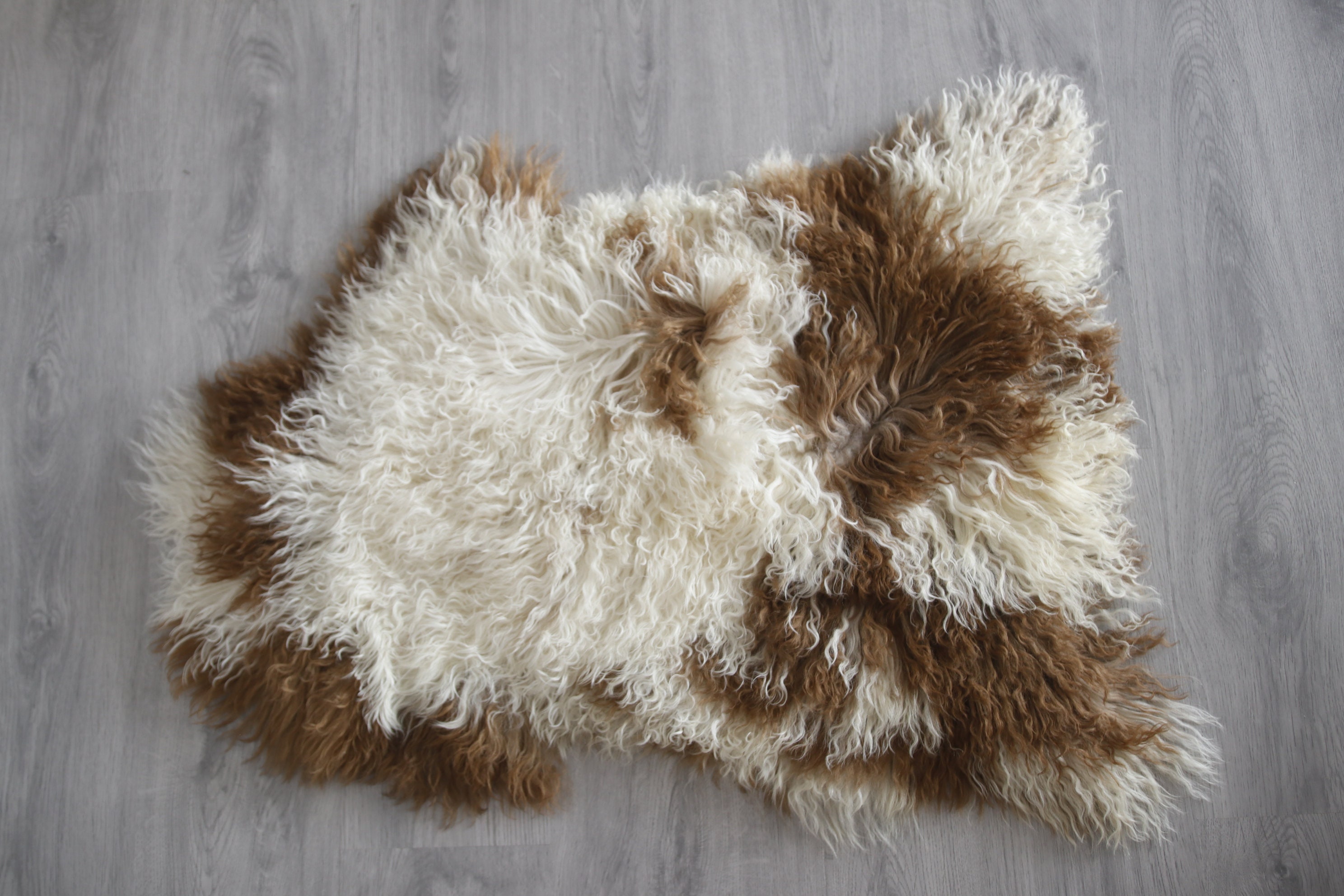 Genuine Rare Tuscan Lamb Sheepskin Rug Curly Fur Rug Natural