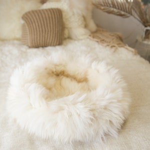 Puede incluir: Un nido de piel sintética blanca para accesorios de fotografía de recién nacidos. El nido está hecho de piel suave y esponjosa y es perfecto para crear fotos acogedoras y cómodas.