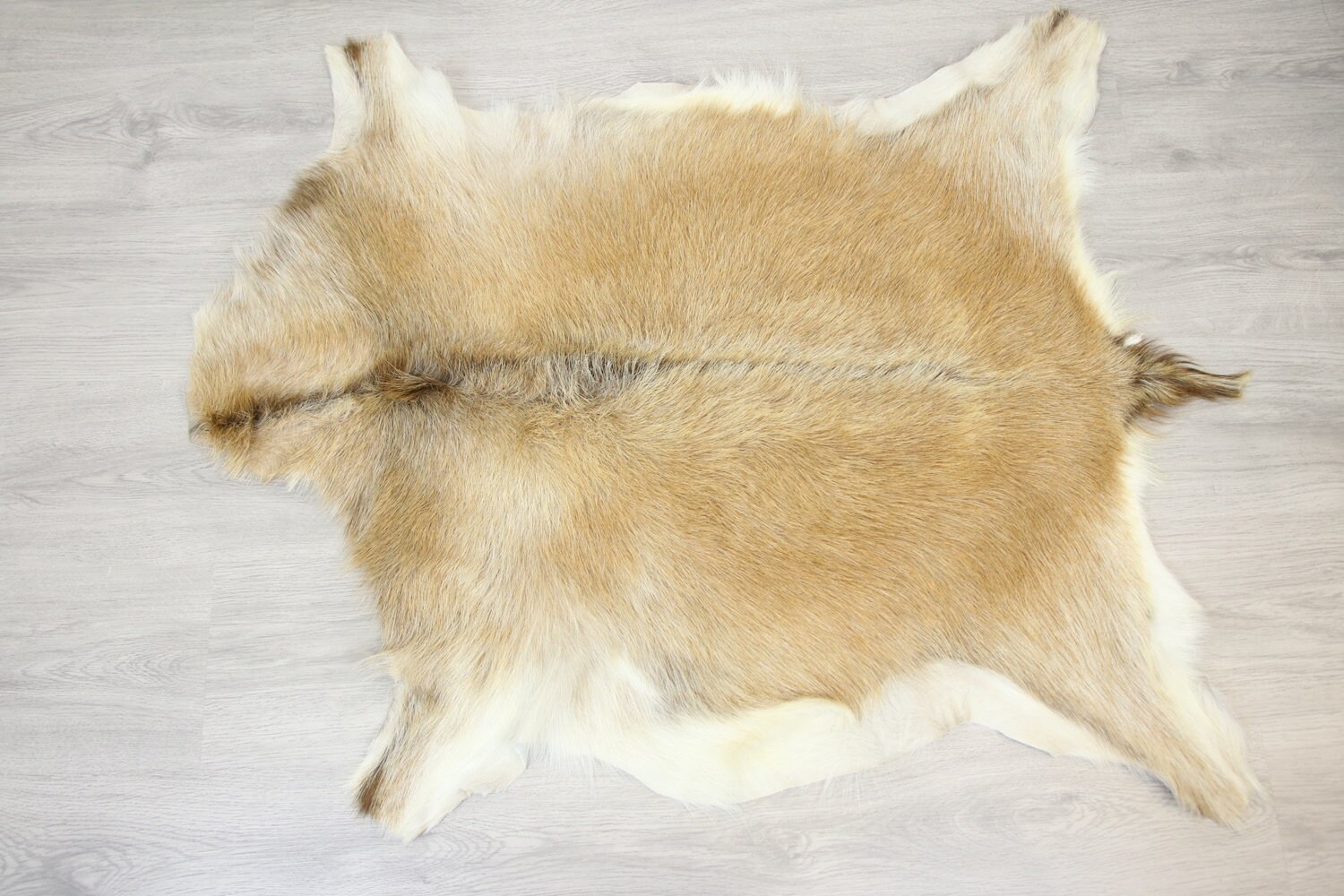 Natural real Goatskin rug, Goat Hide Goat Rug Sand color Goat28