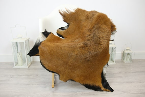 Natural real Goatskin rug, Goat Hide Goat Rug Carmel Brown #Goat26