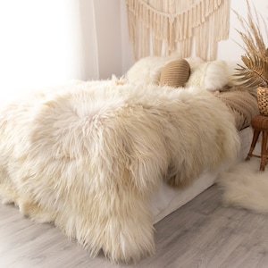 Exclusive Genuine Natural rare ICELANDIC Sheepskin Rug, Pelt, soft long fur xxl extra  Large  super soft fur