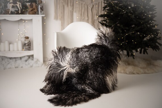Real Sheepskin Rug Genuine Rare Gotland Sheepskin Rus - Curly Fur Rug Scandinavian Sheep skin - Curly Rug Gray Sheepskin #G64
