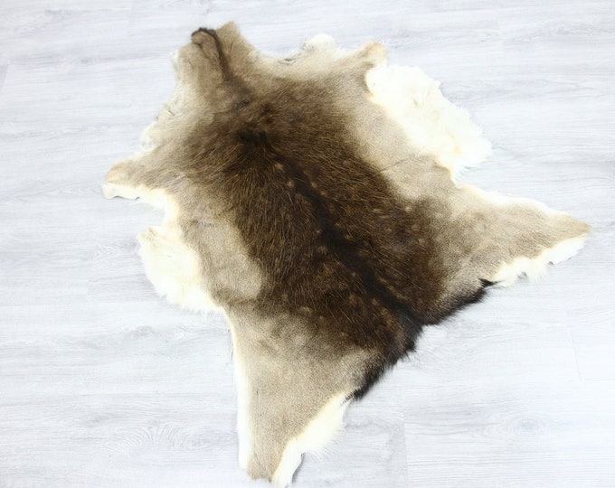 Deer Hide | Deer Rug | Deer Skin | Throw L  Large - Scandinavian Style | Home Decor | #SAR7