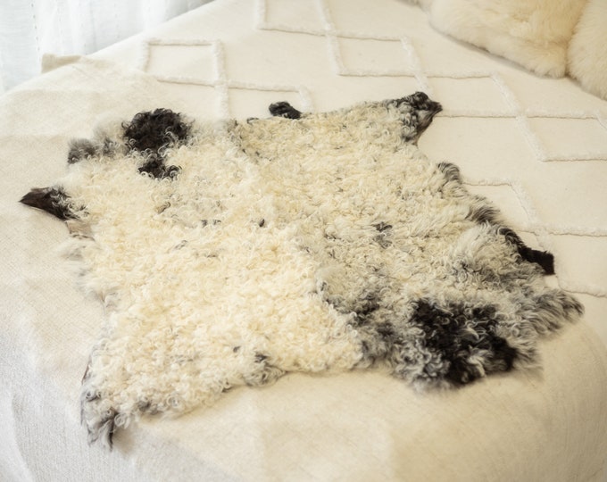 Double White Black Curly Sheepskin Rug | Long rug | Shaggy Rug | Chair Cover | Area Rug | Rug | Carpet | Sheepskin 7POL31