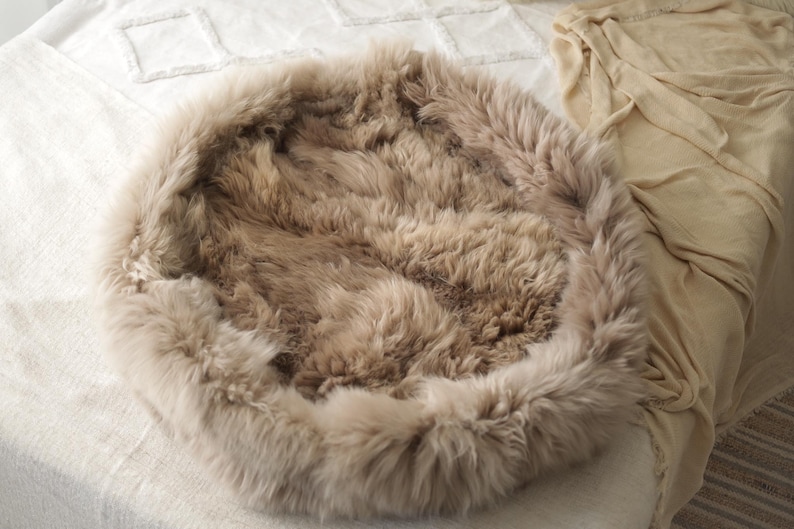 May include: A circular pet bed in a neutral beige hue. The bed features a thick, fluffy texture, with a raised edge and a soft, inviting appearance. Designed for comfort and relaxation, it's a cosy haven for pets.