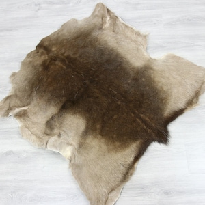 Deer Hide | Deer Rug | Deer Skin | Throw L  Large - Scandinavian Style | Home Decor | #SAR5