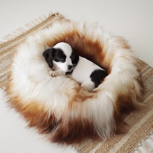 Icelandic Sheepskin Cat bed | Sheepskin Dog bed | Cat Pouf | Dog Pouf | Sheepskin Cat Mat | Dog Mat | Brown Pet Bed | Fur Pet Bed