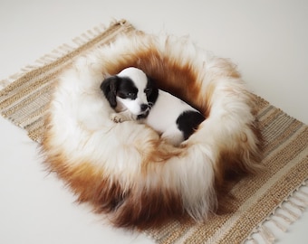 Cama de piel de oveja islandesa para gatos / Cama de piel de oveja para perros / Puf para gatos / Puf para perros / Alfombra de piel de oveja para gatos / Alfombra para perros / Cama marrón para mascotas / Cama de piel para mascotas