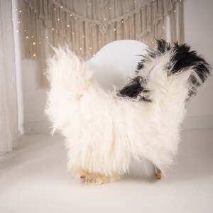 Real Icelandic Sheepskin Rug Scandinavian Decor Sofa Christmas Sheepskin throw Chair Cover Natural Sheep Skin Rugs White Black #Iceland606