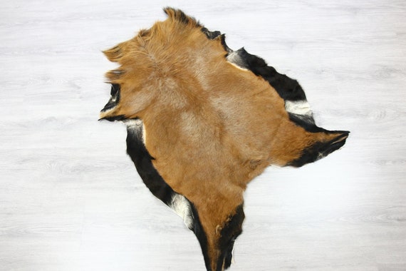 Kamerun sheep Hide | Kamerun Hide | Kamerun sheepskin | Throw L Large - Scandinavian Style | Home Decor | #SAR11