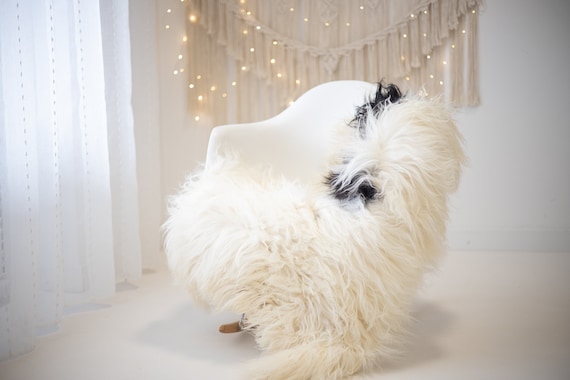 Real Icelandic Sheepskin Rug Scandinavian Decor Sofa Sheepskin throw Chair Cover Natural Sheep Skin Rugs Blanket Brown Ivory #Iceland667