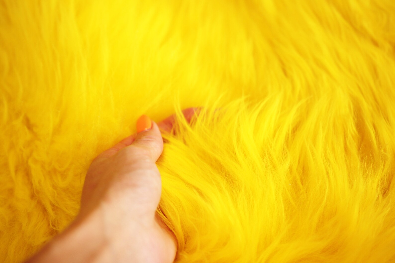 Genuine Natural Yellow Sheepskin Rug Sheepskin Throw Etsy