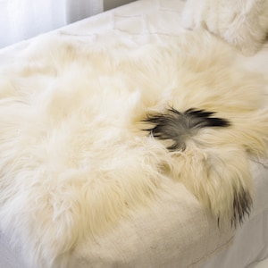 Double Icelandic Ivory Gray Sheepskin Rug | Long rug | Shaggy Rug | Chair Cover | Area Rug | Double Rug | Icelandic Sheep skin #7POL14