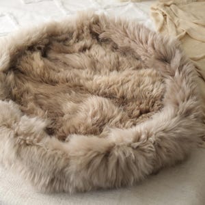 May include: A circular pet bed in a neutral beige hue. The bed features a dense, fluffy texture, with a raised edge and a soft, welcoming interior. Designed to offer comfort and warmth for a small animal, it's a cosy haven.