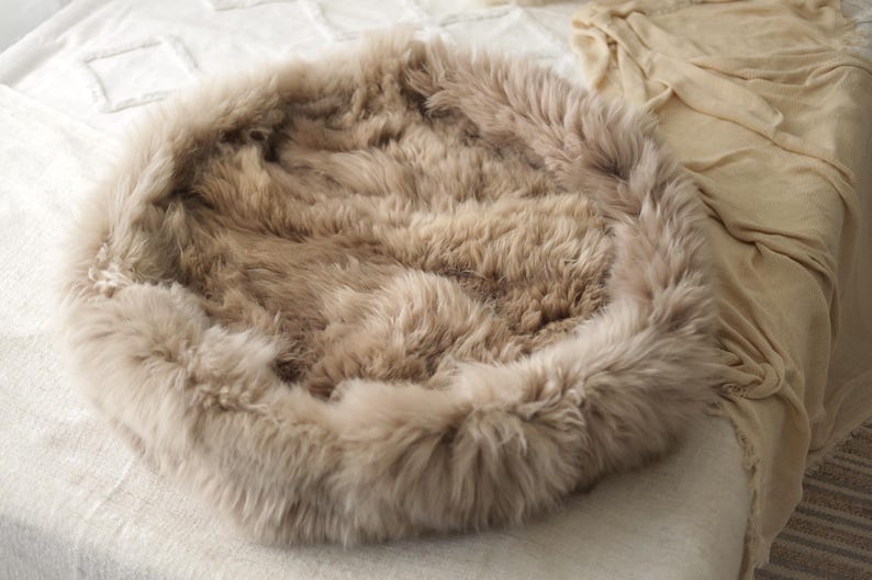 May include: A circular pet bed in a neutral beige hue. The bed features a dense, fluffy texture, with a raised edge and a soft, welcoming interior. Designed to offer comfort and warmth for a small animal, it's a cosy haven.