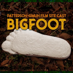 Bigfoot Footprint Cast: 1967 Patterson Gimlin Film Site at Bluff Creek, CA. Sasquatch Memorabilia Cryptozoology Artifact Cryptid Collectible