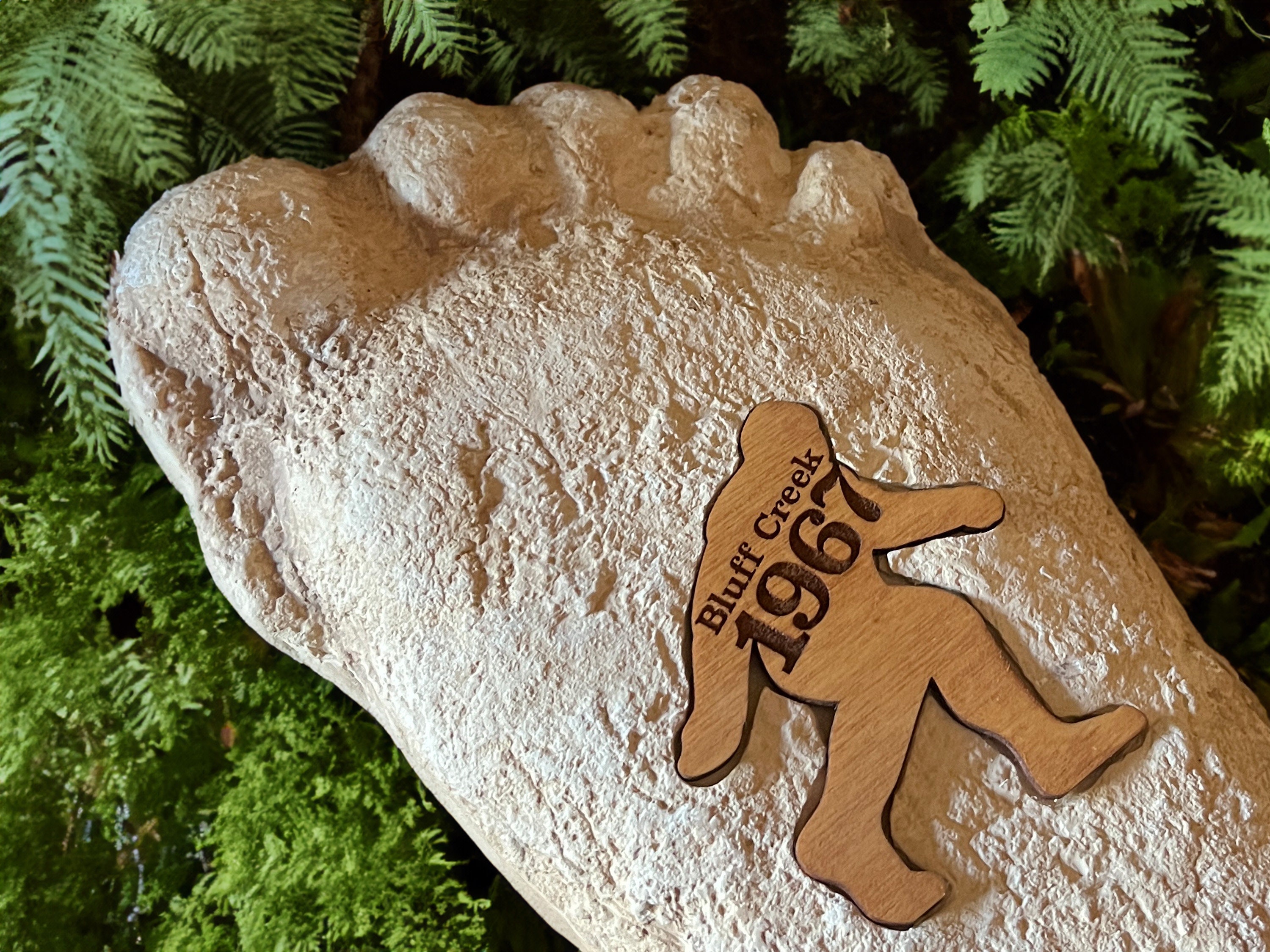 Bigfoot at Bluff Creek 1967 Patterson Gimlin Sasquatch Footprint