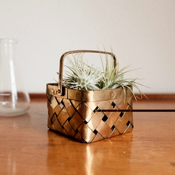 Woven Brass Basket / Plant Holder