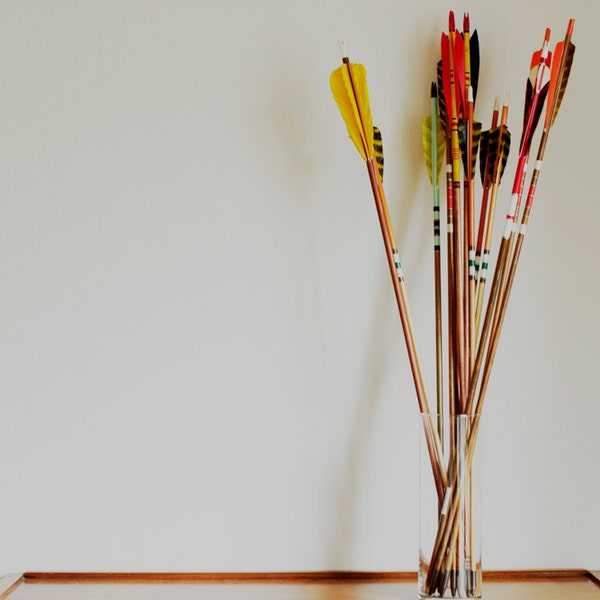 Archery Arrows Vintage Set of 5