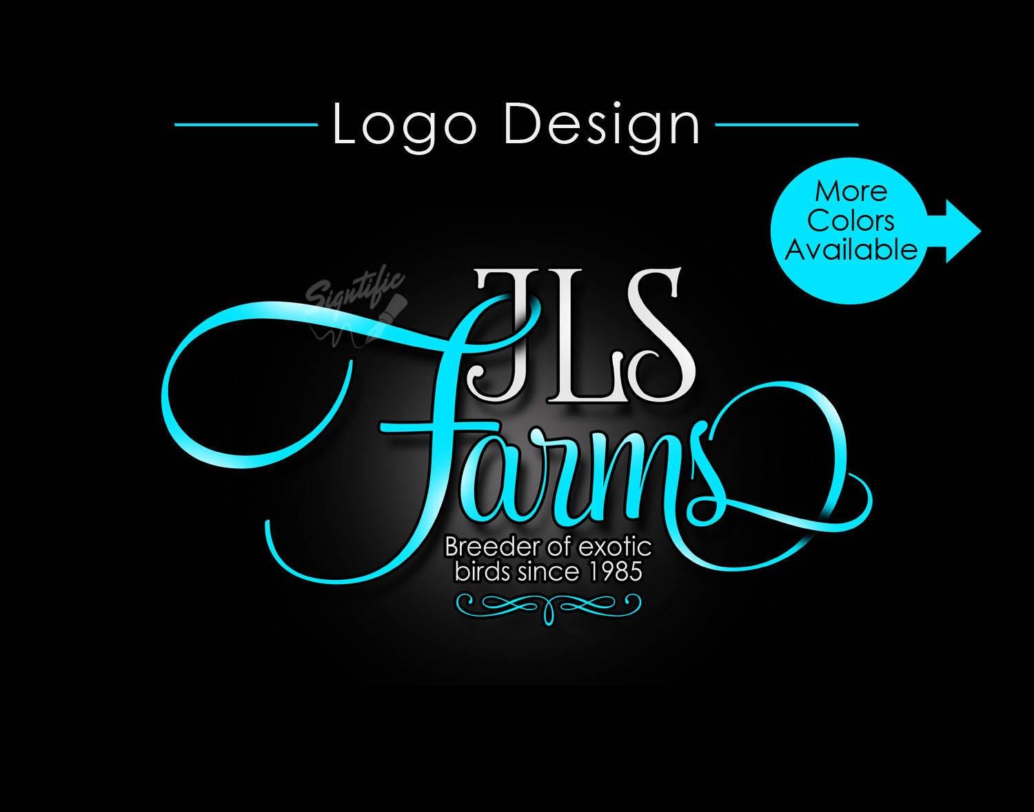 Logo Design Custom Logo Design Logo Design Custom Custom Logo