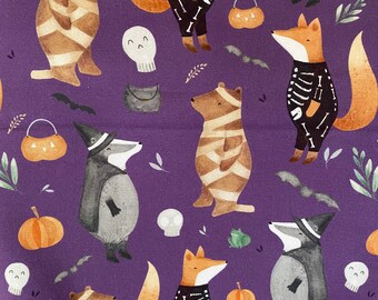 Hallo Halloween toddler top, long sleeve tee, long sleeve top, short sleeve top, made to order, sizes newborn to twelve years
