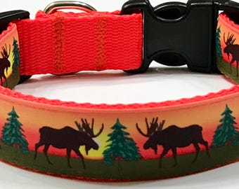 nature dog collars