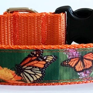 Butterflies 3 Dog Collar: Monarch Dog Collar/Realistic Monarchs Collar; Designer Dog Collar; Pet Accessories/Supplies, Doggie/Vet Gift