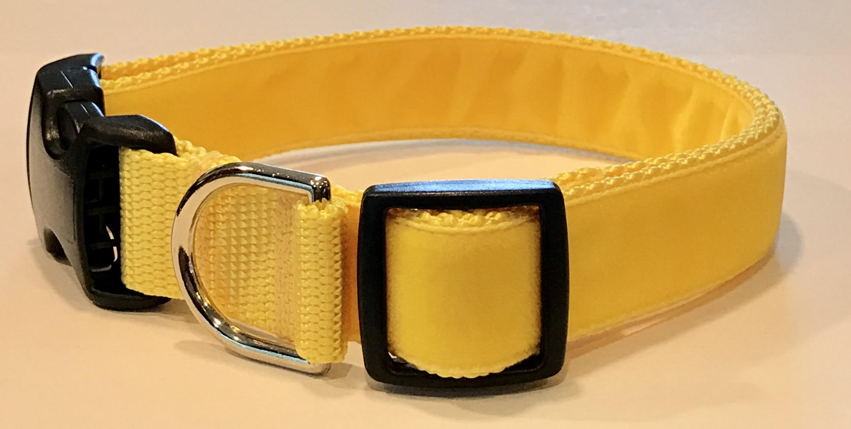 Why Do Dogs Wear Yellow Ribbons