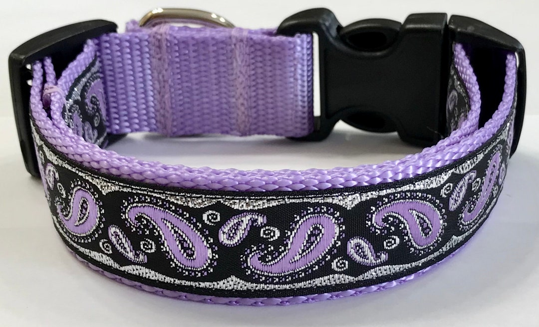 Dog Collar Sparkle Glitzy Paisley Black/lavender/silver Adjustable