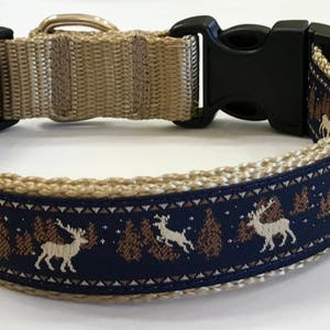 Cute designer customized best dog collar for girls and boys – Sniff & Bark