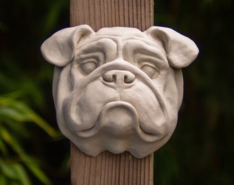 English Bulldog in Cement #2