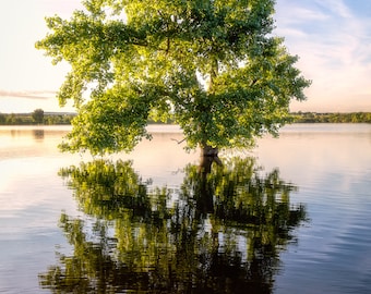 Photo Art - Lake Reflection