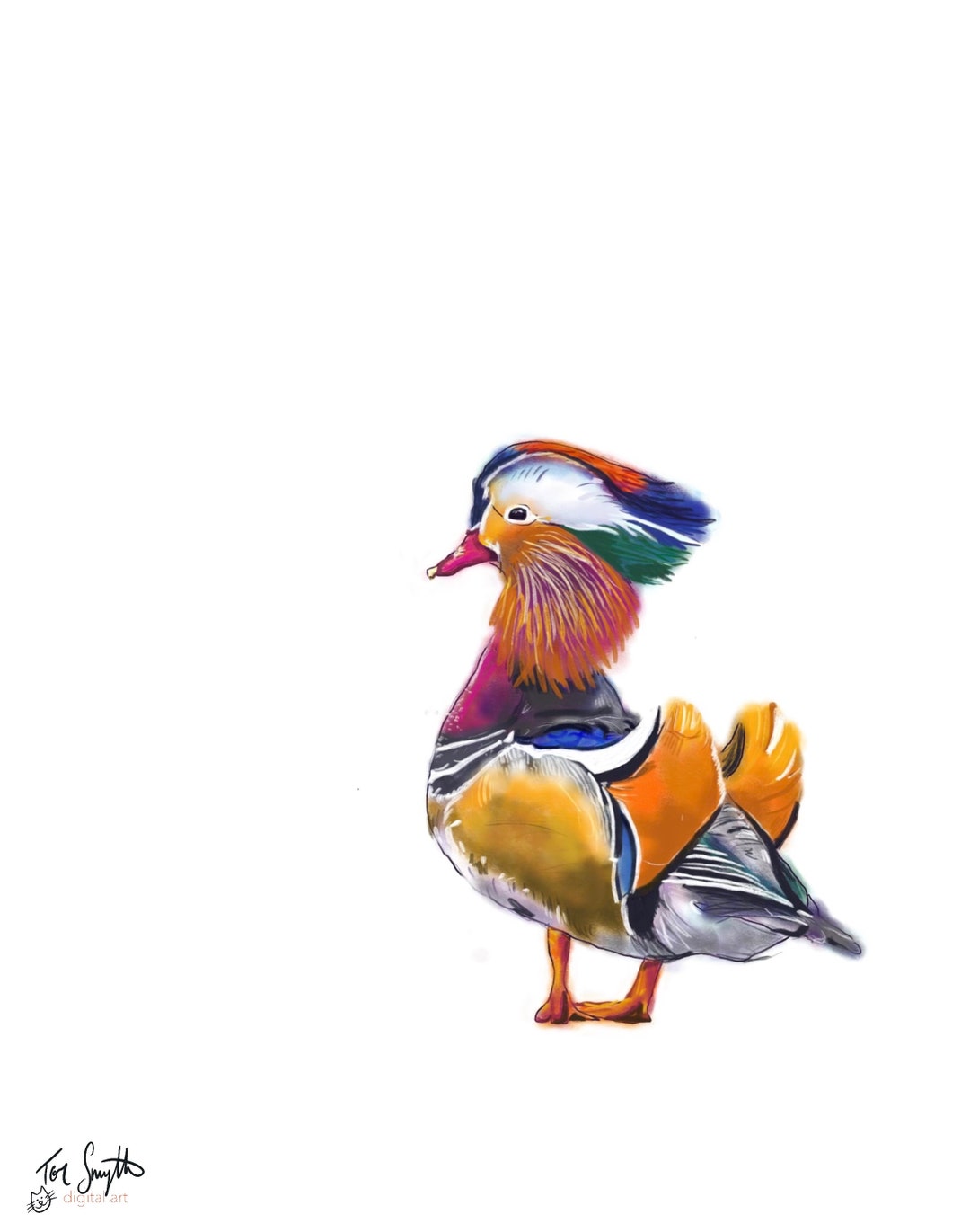 Mandarin Duck Art Print Etsy