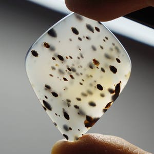 Montana Agate Freeform Cabochon 39 X 30 mm Designer
