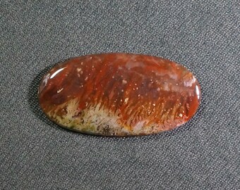 Bird of Paradise Plume Agate Freeform Oval Cabochon 47 X 24 mm Designer Mexican Flame