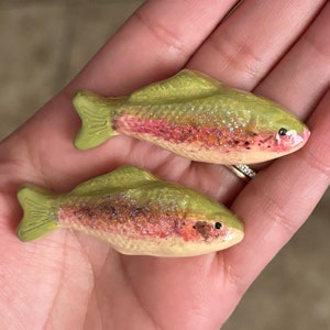 Handpainted Polymer clay trout fish magnet set of 2