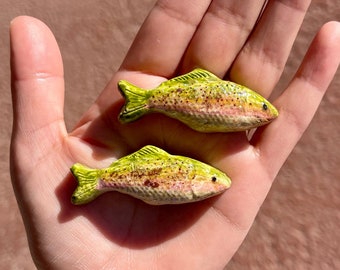 Trout fish Magnet set (2)| fish magnets | Fridge magnets | Clay Magnets | Handmade clay Magnet