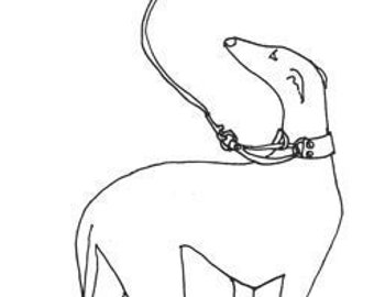 gidget whippet coats