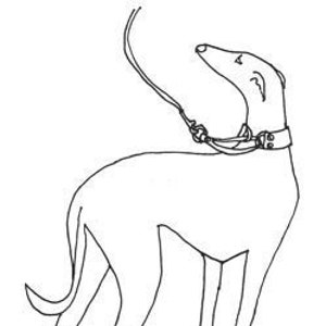 May include: A black and white line drawing of a greyhound dog on a leash, looking up.