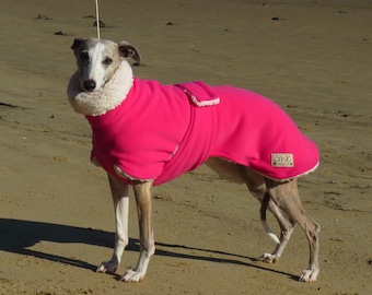champ greyhound coats